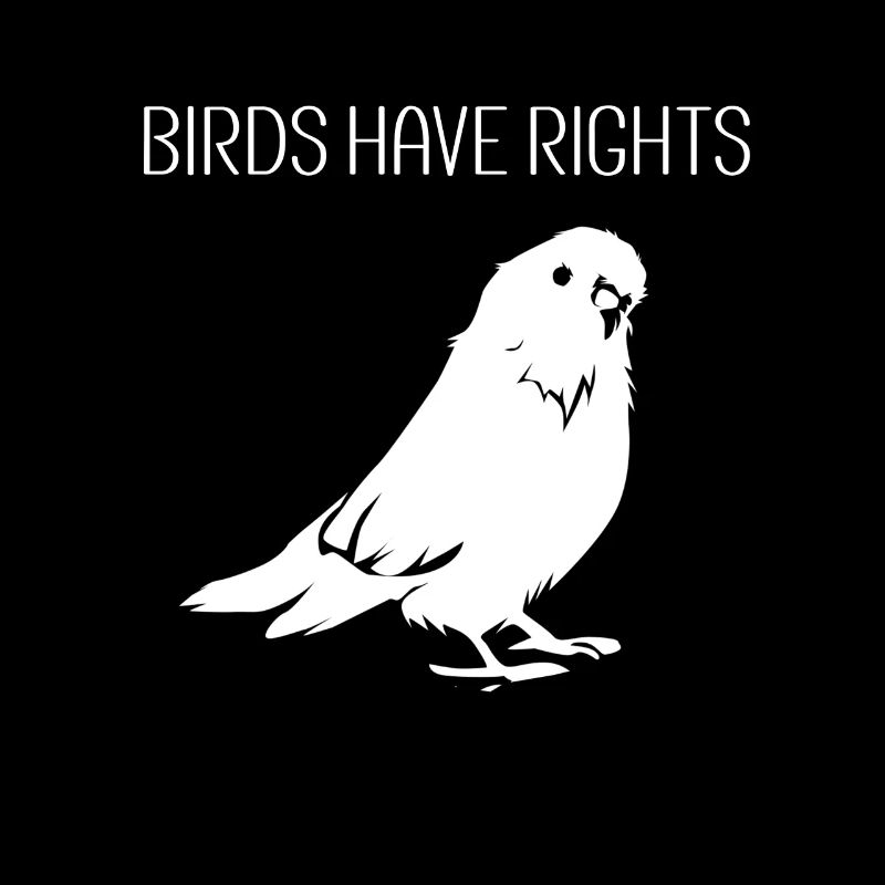 Oiseau observateur