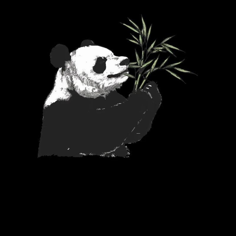 Panda Ours Panda japonais