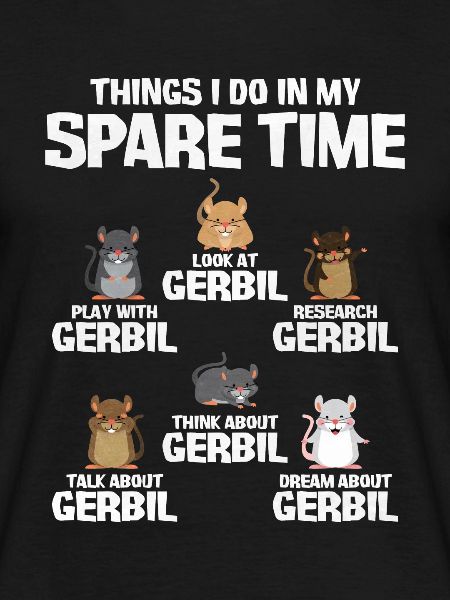 Gerbil Mouse Gift