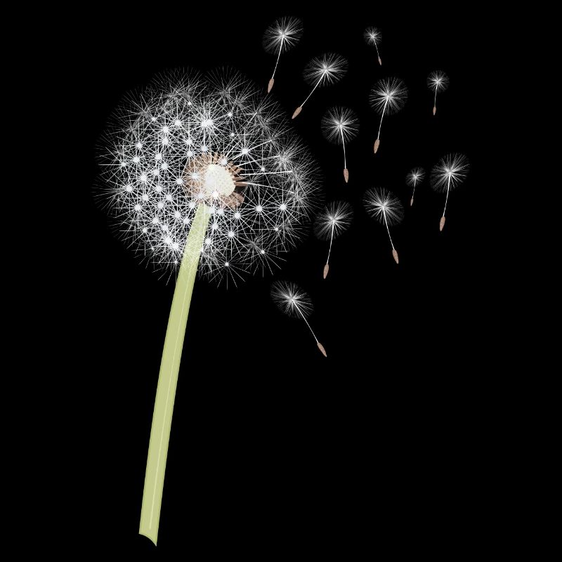 Pusteblume