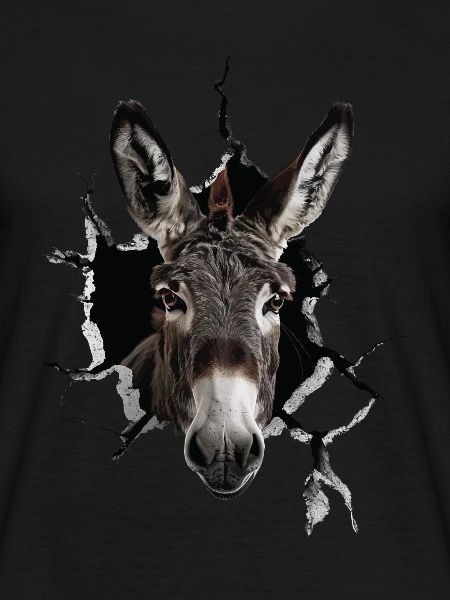 Donkey