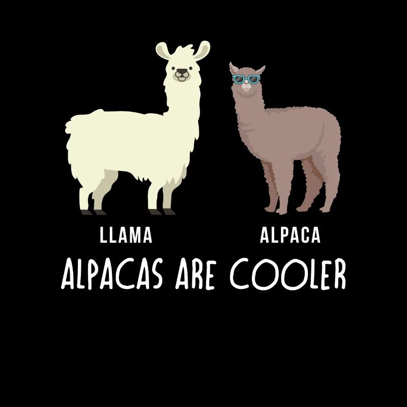 Alpaca Lama