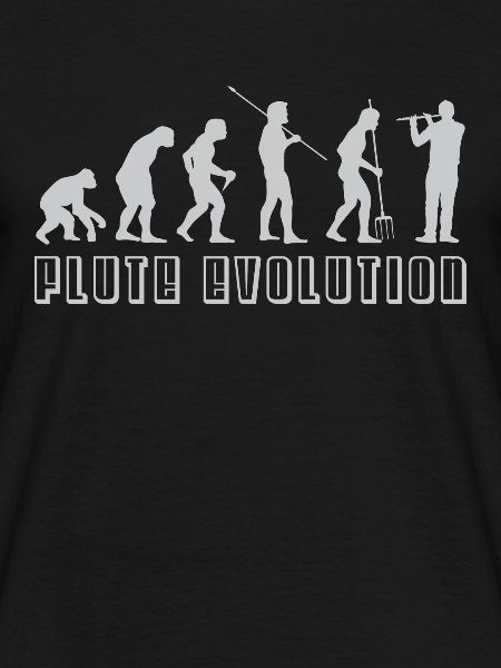 Flöte Evolution