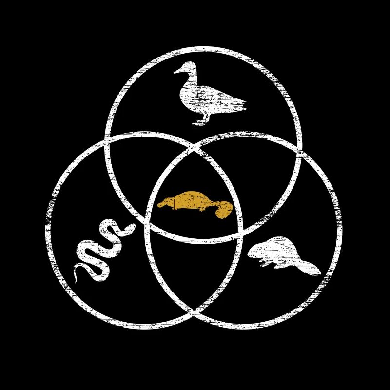 ornithorynque