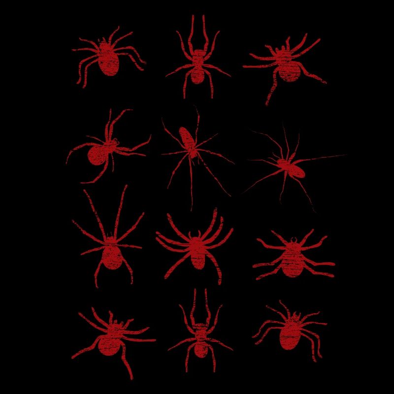 Araignées araignées