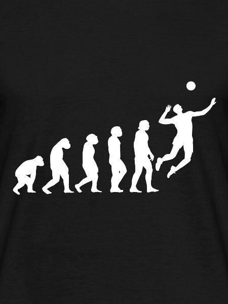 Volleyball Evolution
