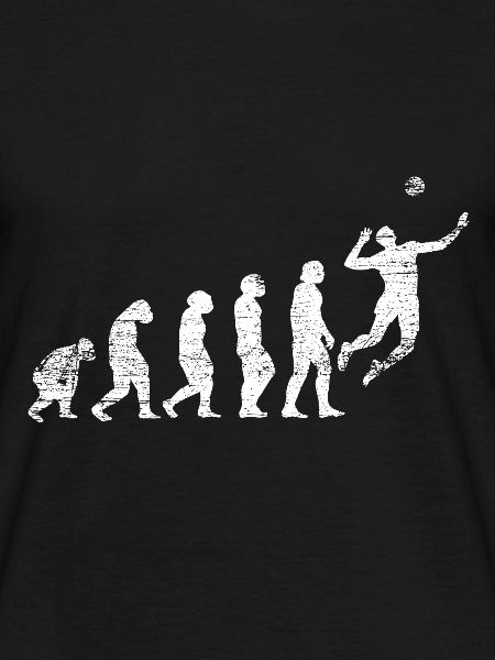 Volleyball Evolution
