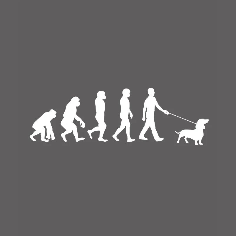 Evolution du teckel