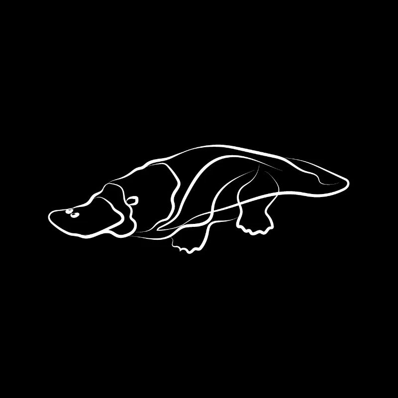 Ornithorynque animal rare