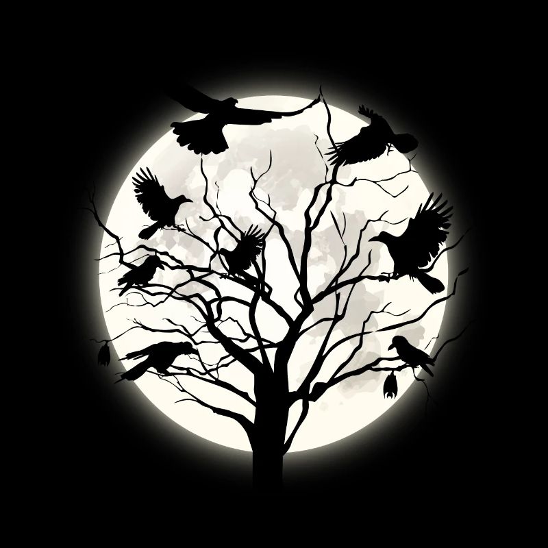 Nuit corbeau