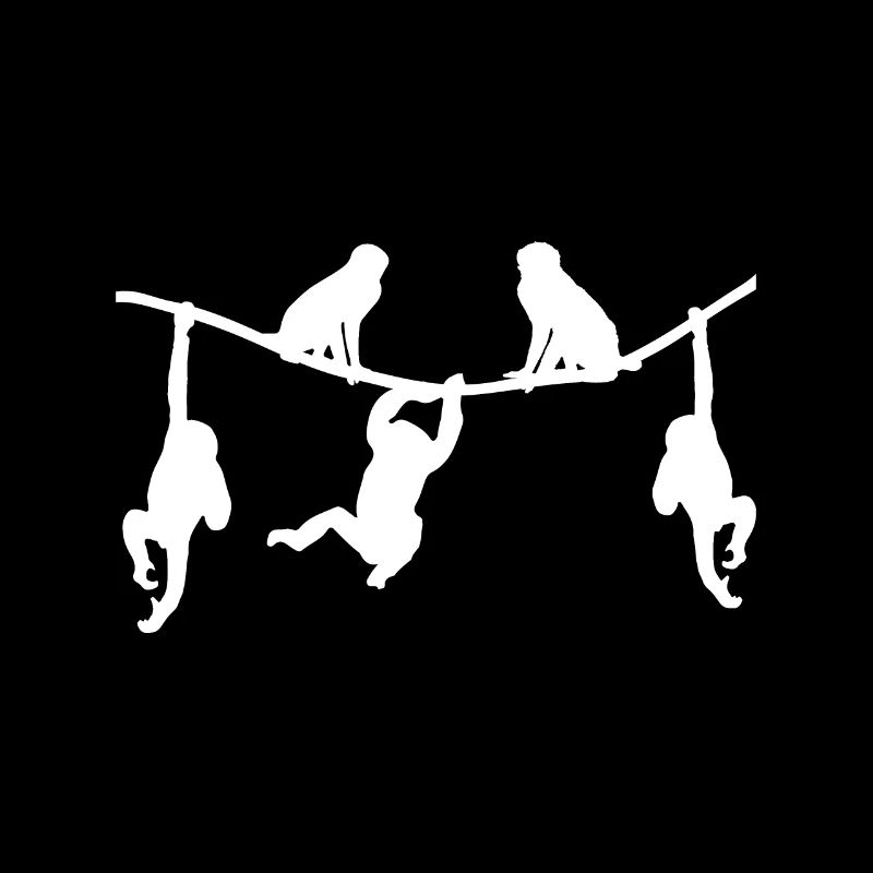 Apa djur