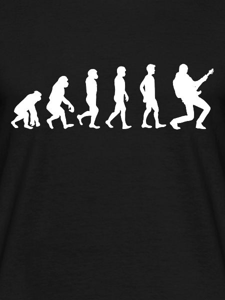 Evolution Gitarre