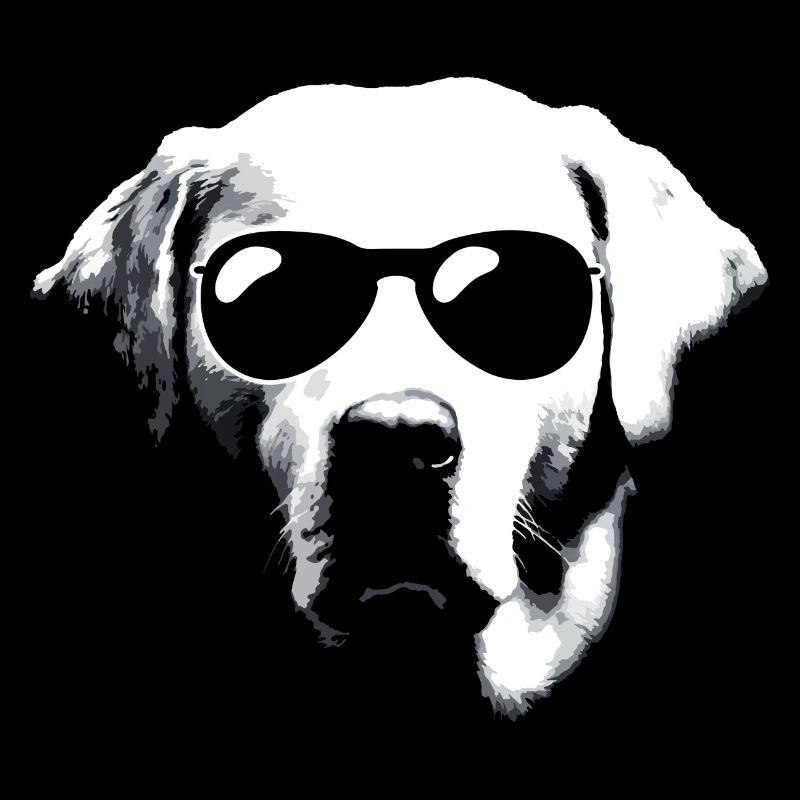Cool Labrador with Sunglasses for Labbi