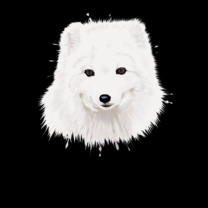 Polarfuchs