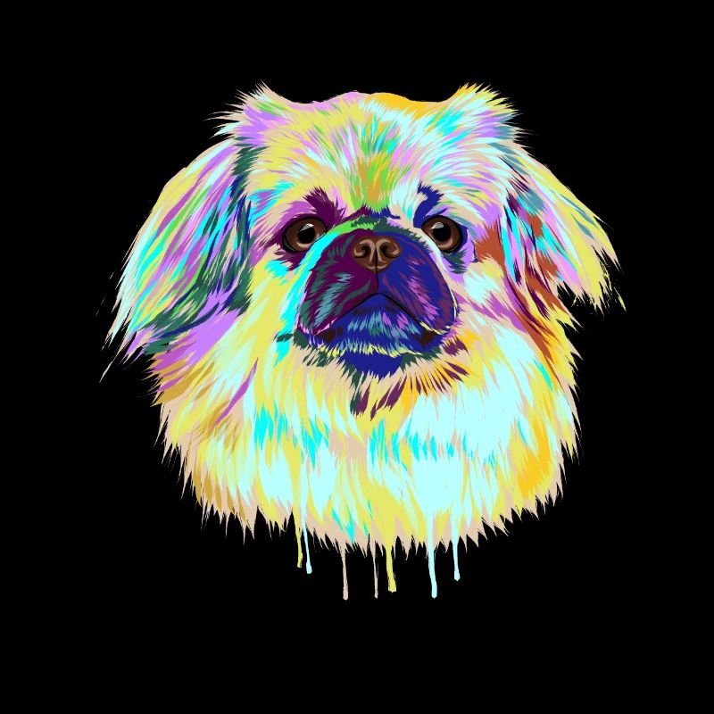 Splash TibetSpaniel Hund