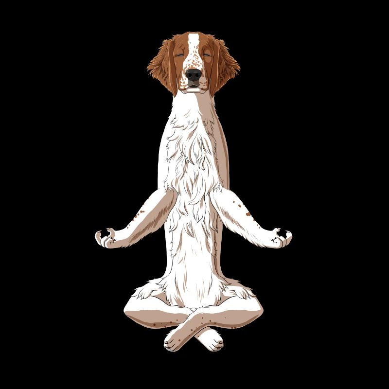 Meditate Welsh Springer Spaniel Dog