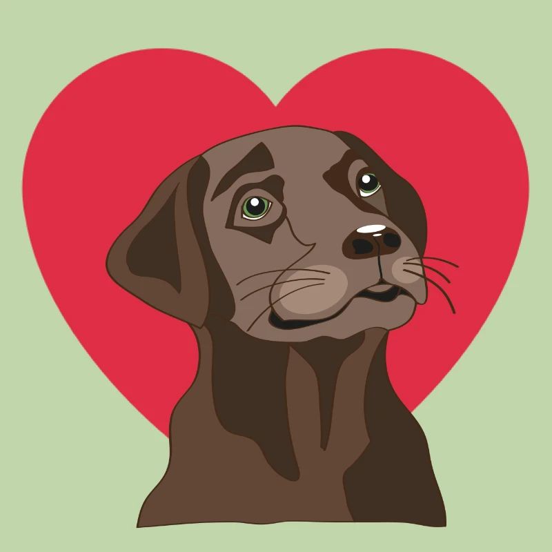 Labrador