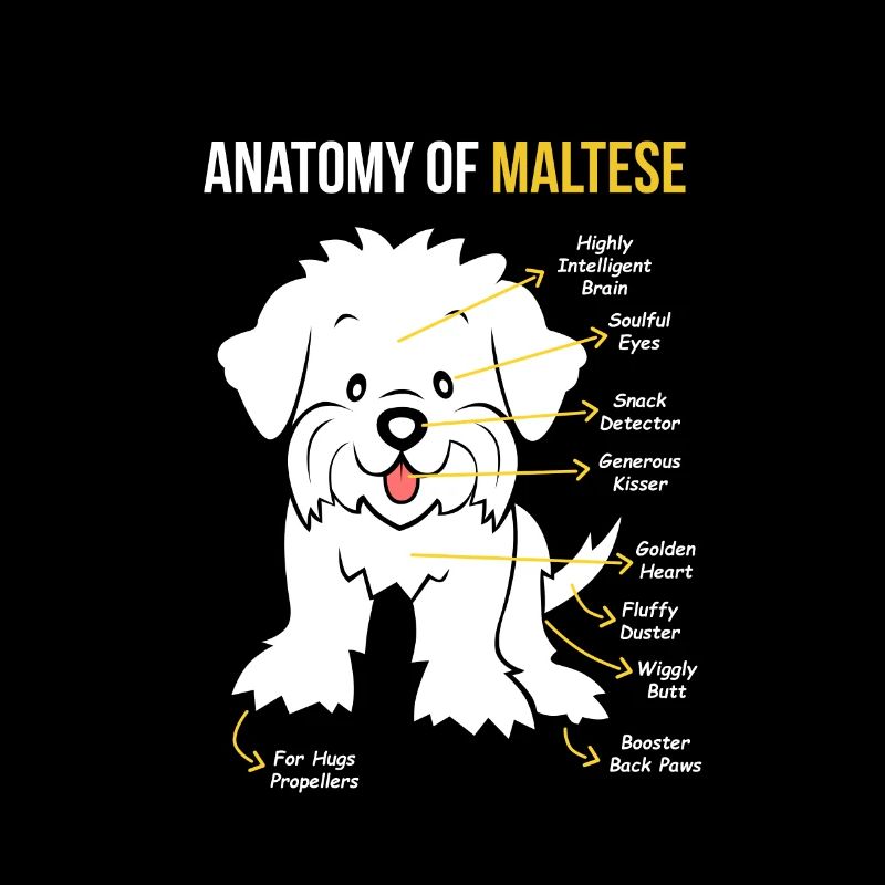 Maltais