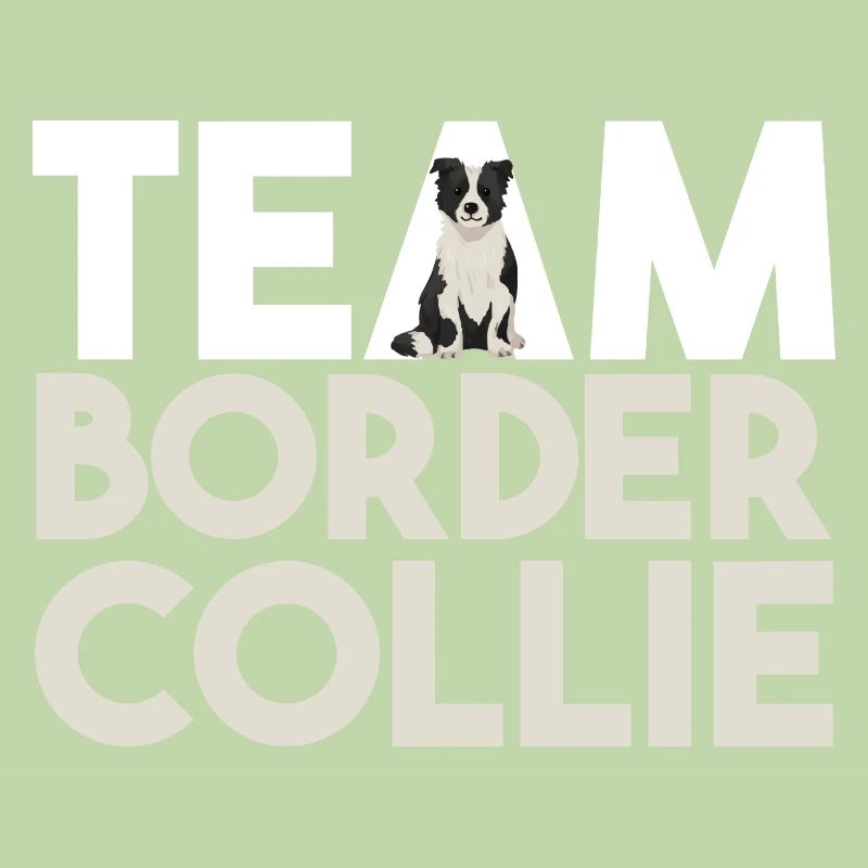 Chien Border Collie