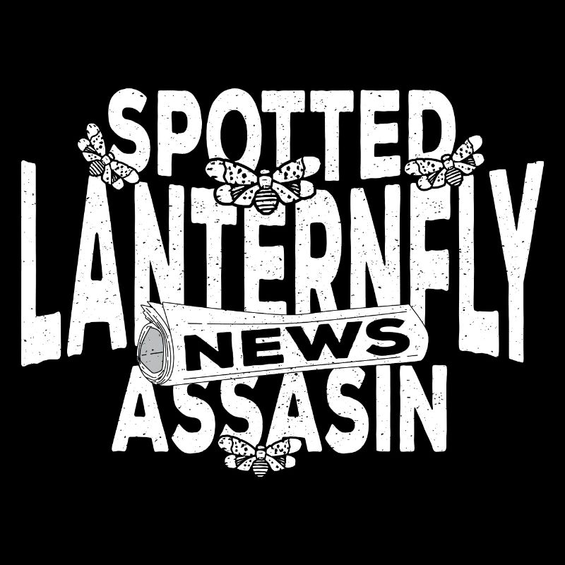 Lanterne tachetée volant cadeau