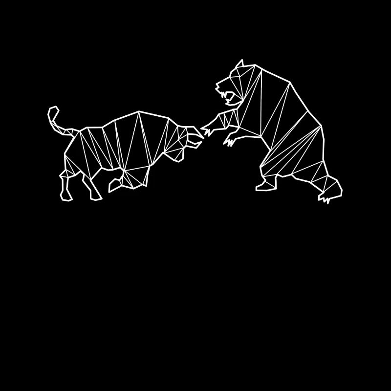 Bull vs Bear Artwork