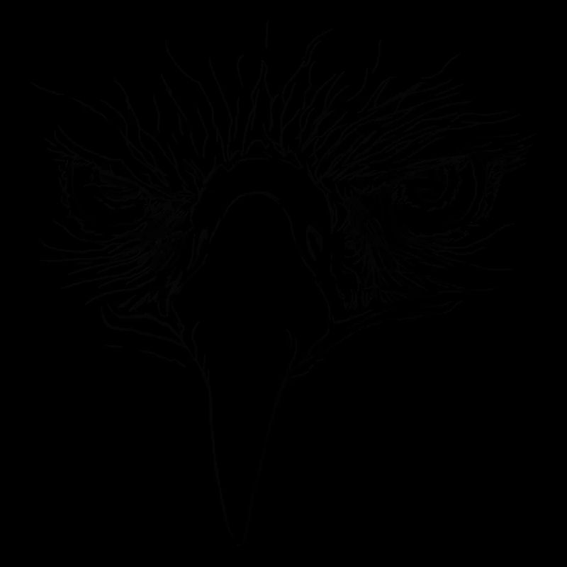 Aigle - Yeux d’aigle