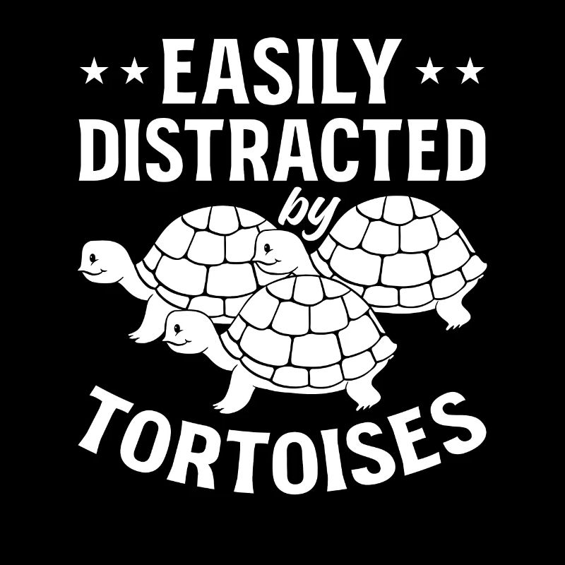 Facilement distrait par les tortues - Tortue terrestre