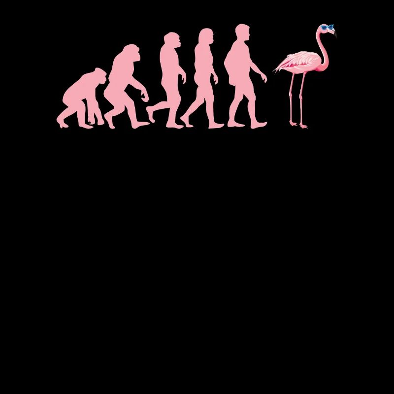 Pink Flamingo Evolution Flamingo Bird