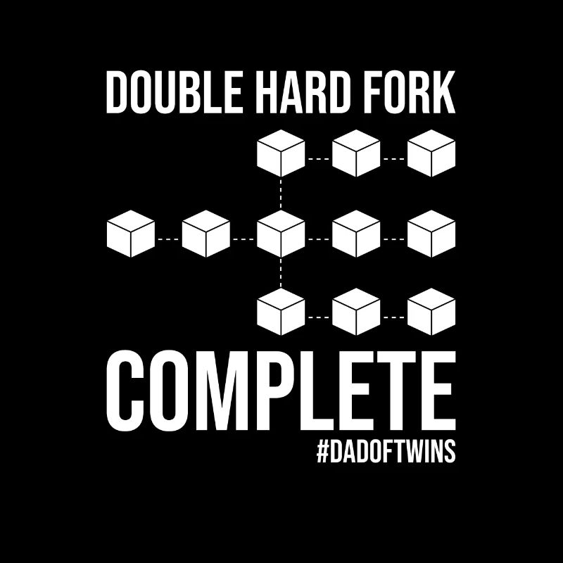 Double Hard Fork Complete Blockchain Papa