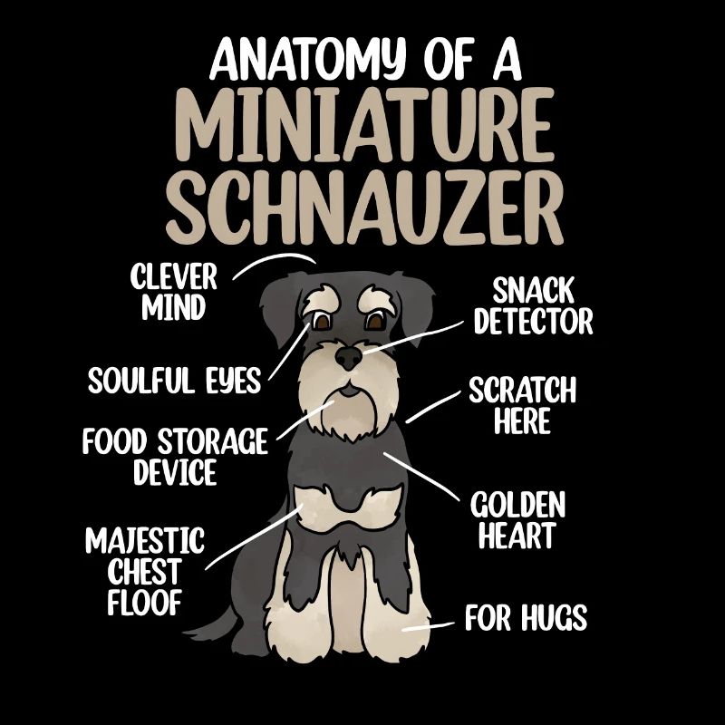 Zwergschnauzer