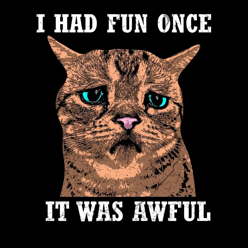 Funny cat