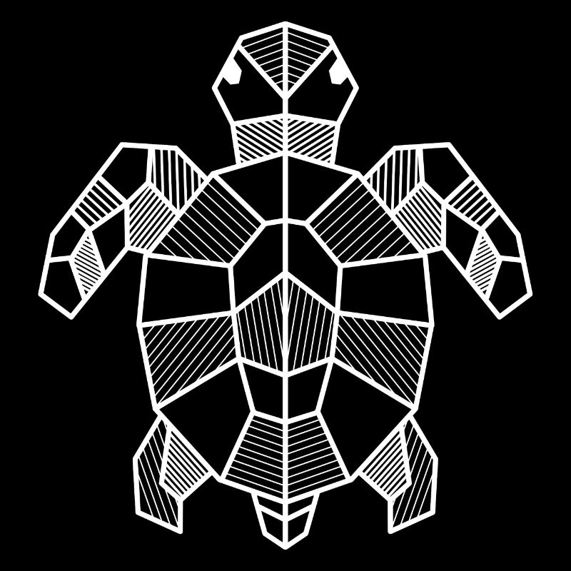 Turtle Geometric Gift Triangle Hipster