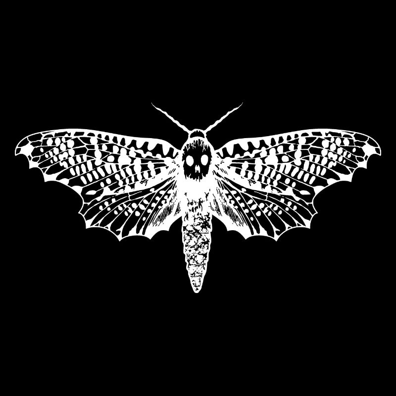 Dead butterfly