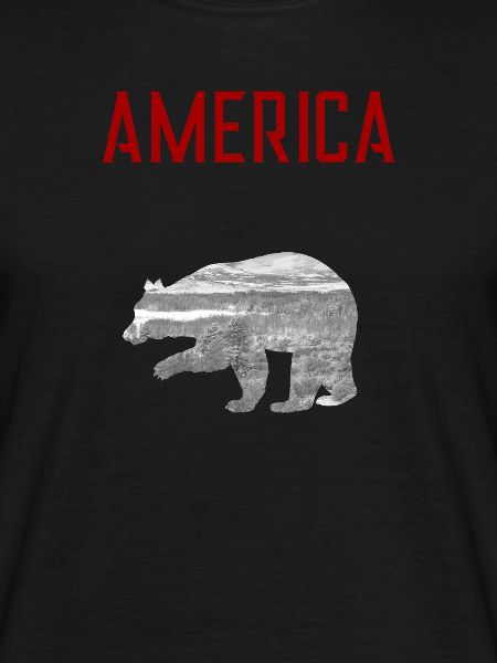 AMERICA