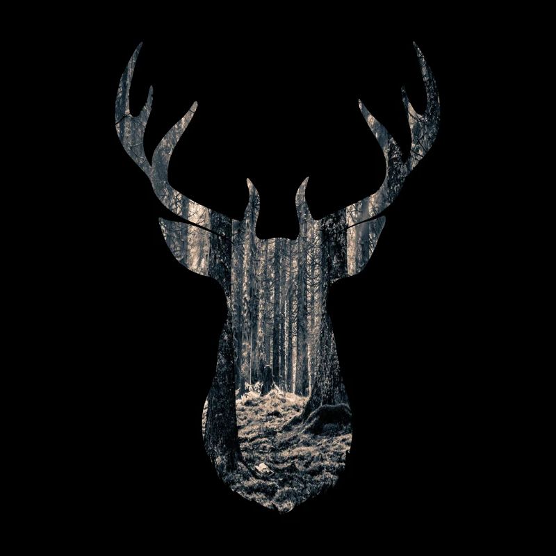 Hirsch