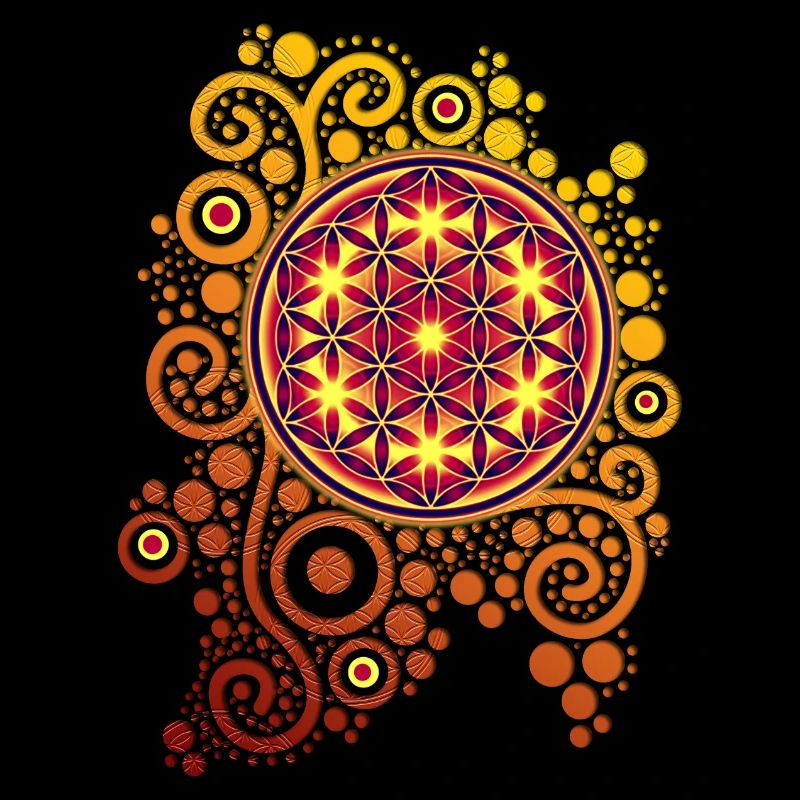 Fleur de la vie / fleur de la vie PUISSANCE