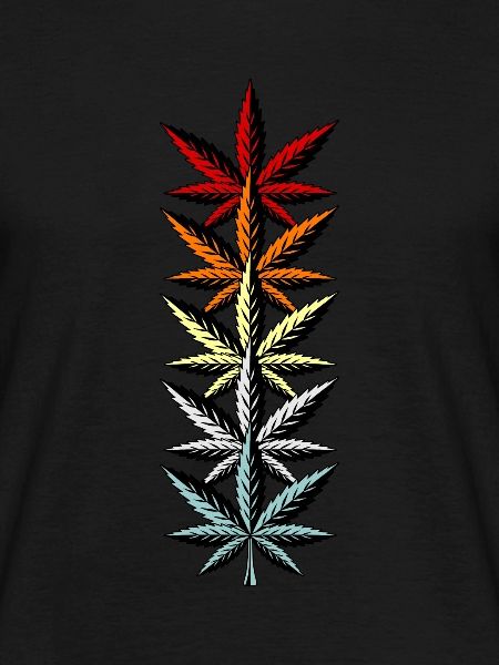 Cannabis