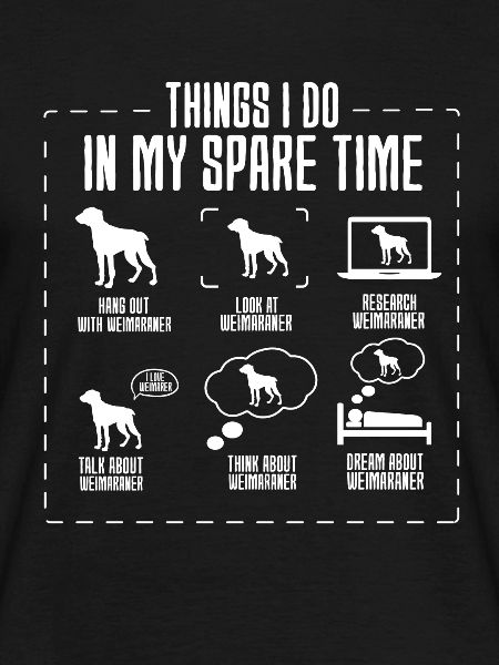 Weimaraner