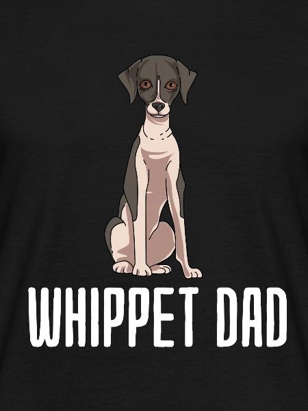 Whippet