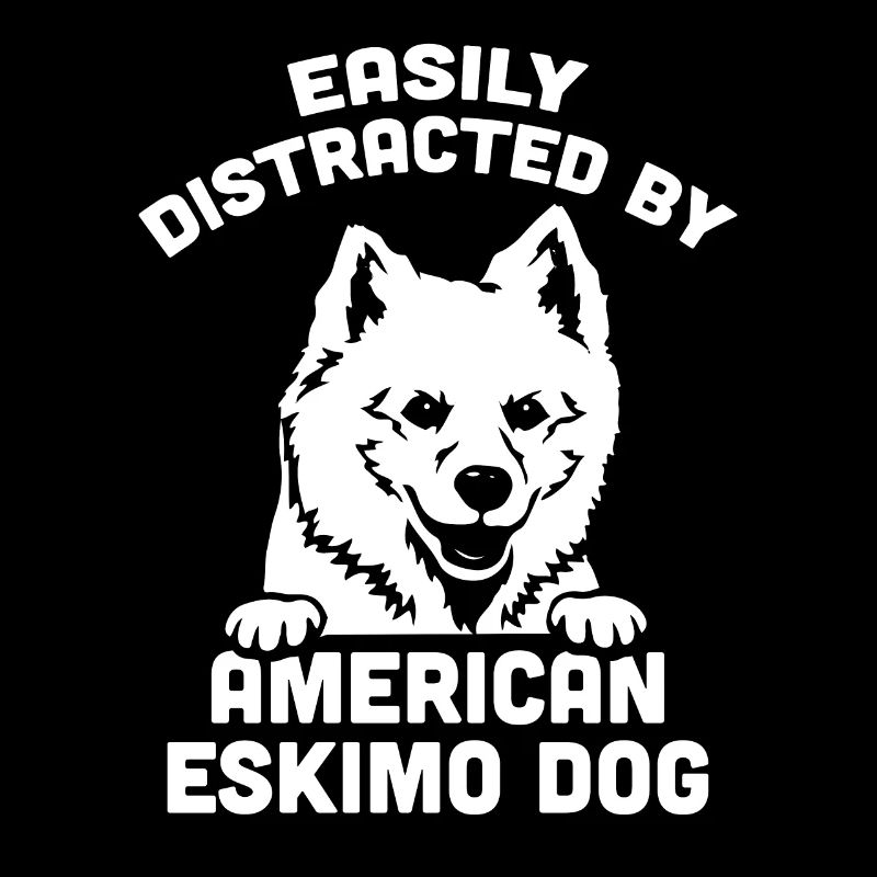 American Eskimo Dog