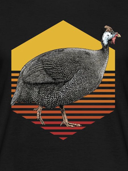 Guinea fowl