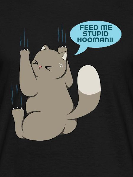 Chat