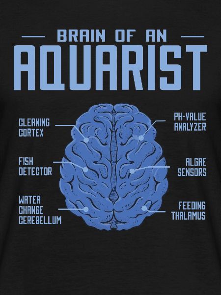 Aquarium