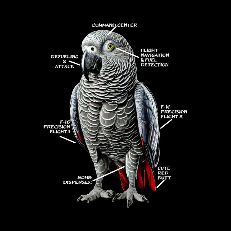 African Grey Parrot Gift