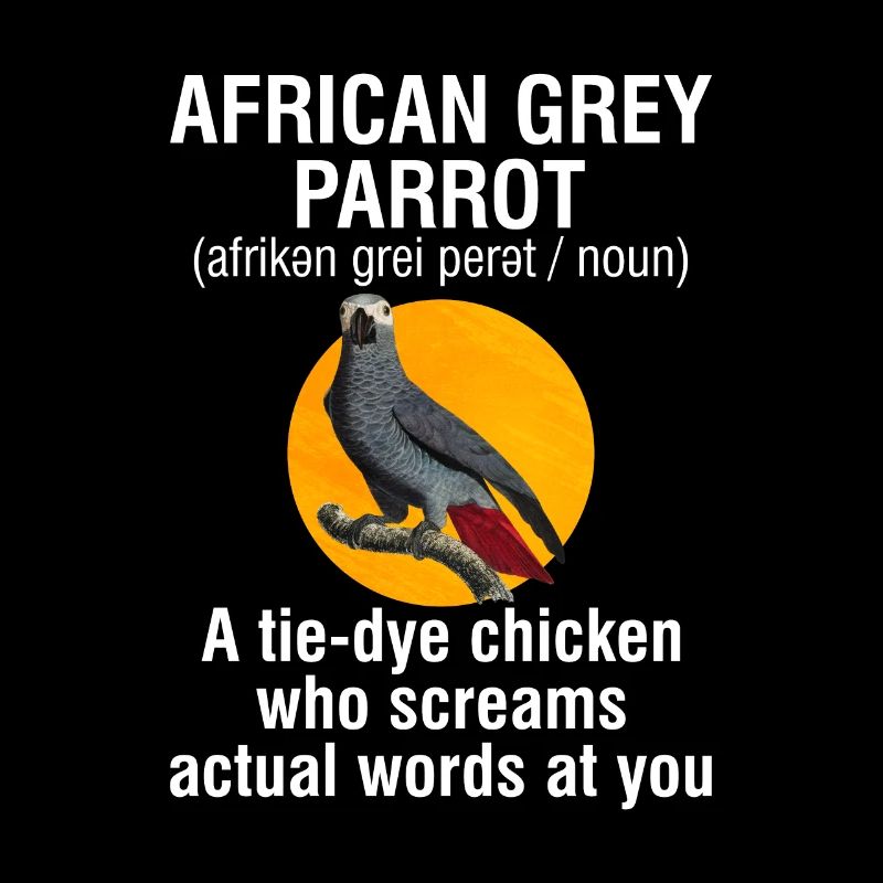 African Grey Parrot Gift