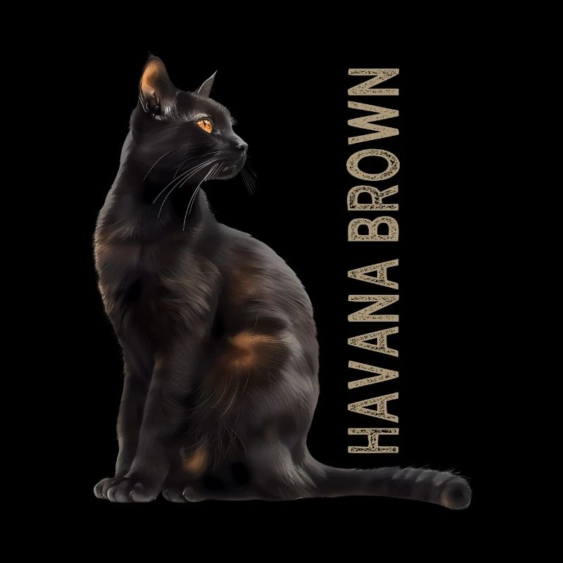 Havana brown