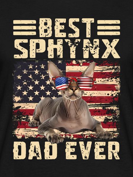 Sphynx Dad