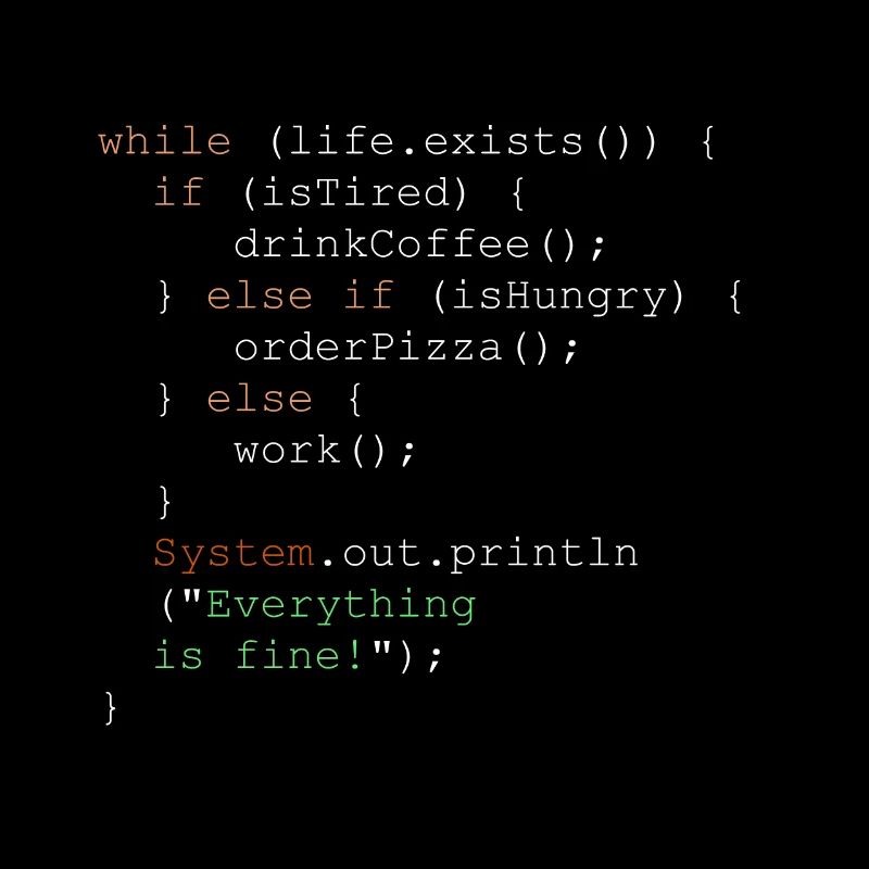 Programmation, programmeur et code de programme