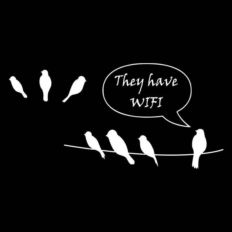oiseaux avec wifi