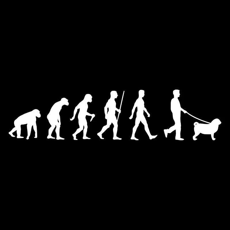 Mops Evolution Pug